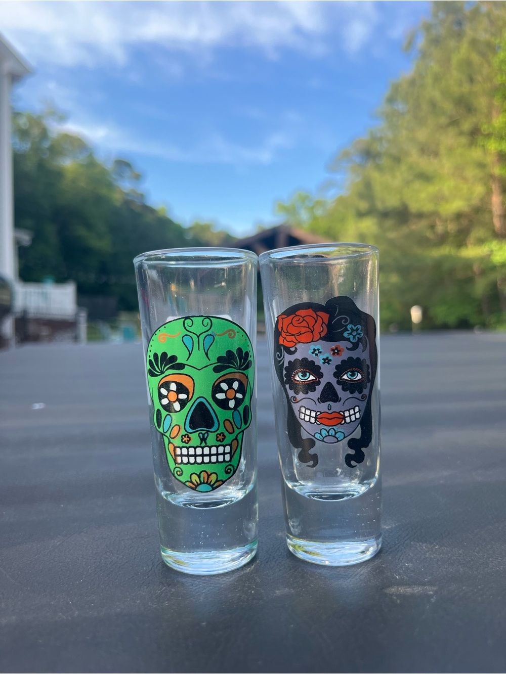 Day of the Dead Sugar Skull Shot Glasses - Green & Black Decorative Set